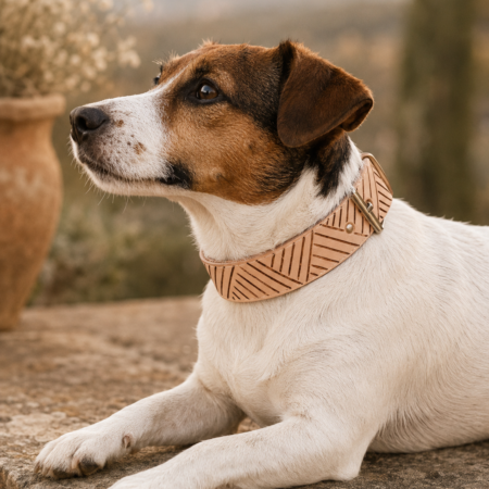 Collar de cuero para perro “Sendero”