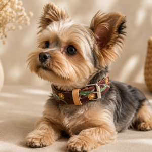 collar de perro Dalia
